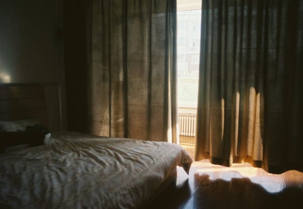 Temperature, Light, and CO2: The Three Bedroom Variables Most Men Ignore